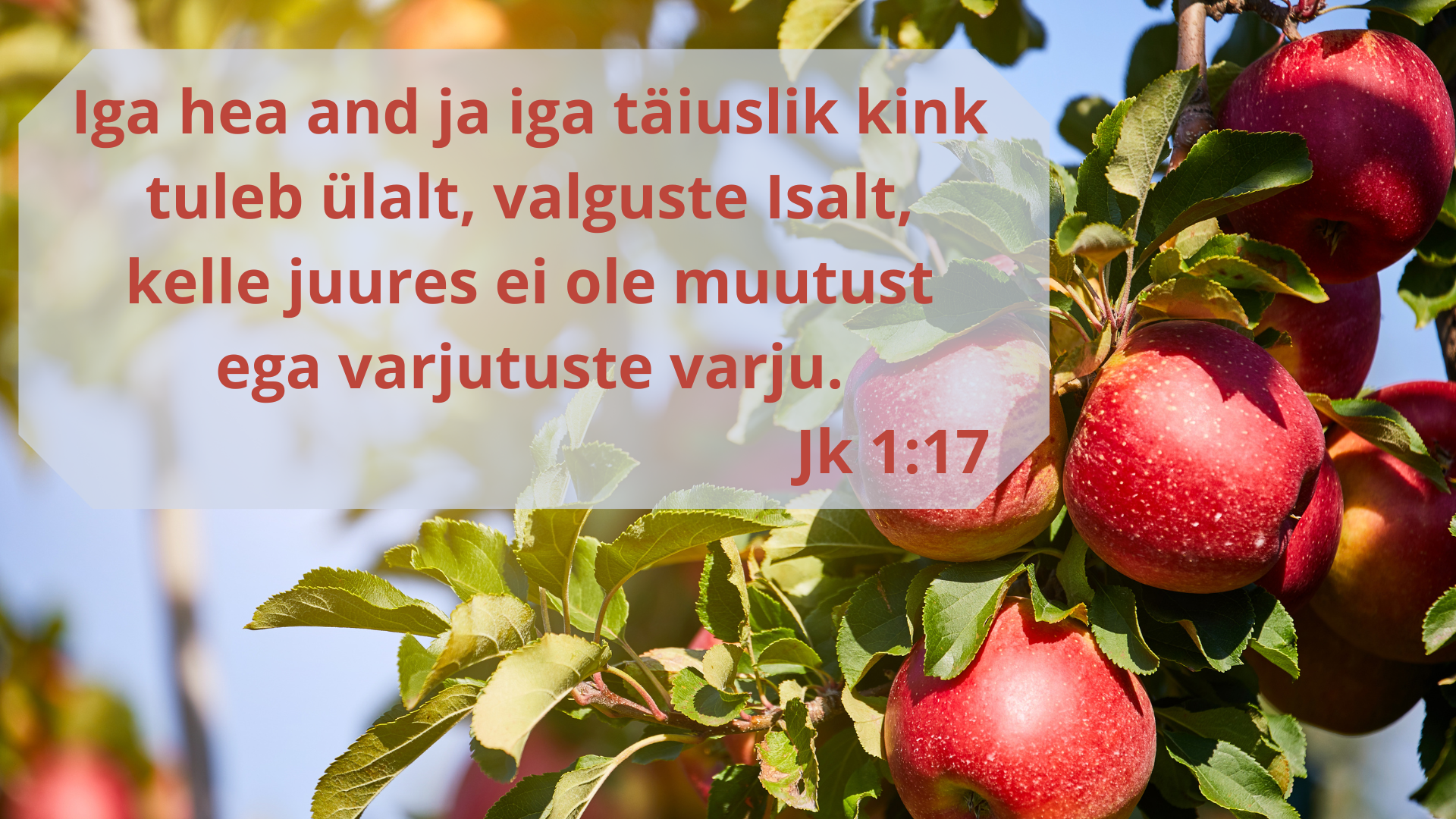 20240901_Jk_1_17.png