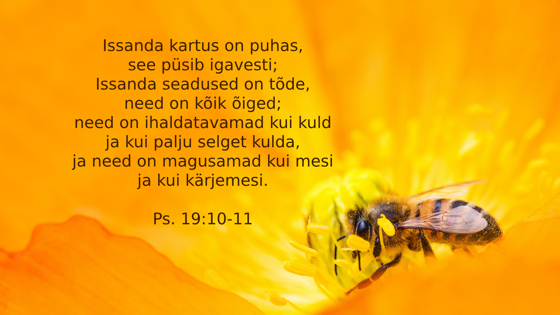 20240929_Ps_19_10_11.jpg