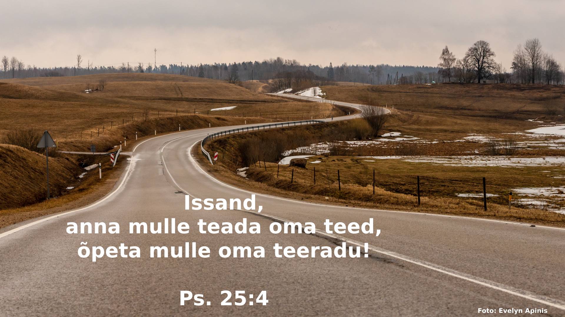 20241201_Ps_25_4.jpg
