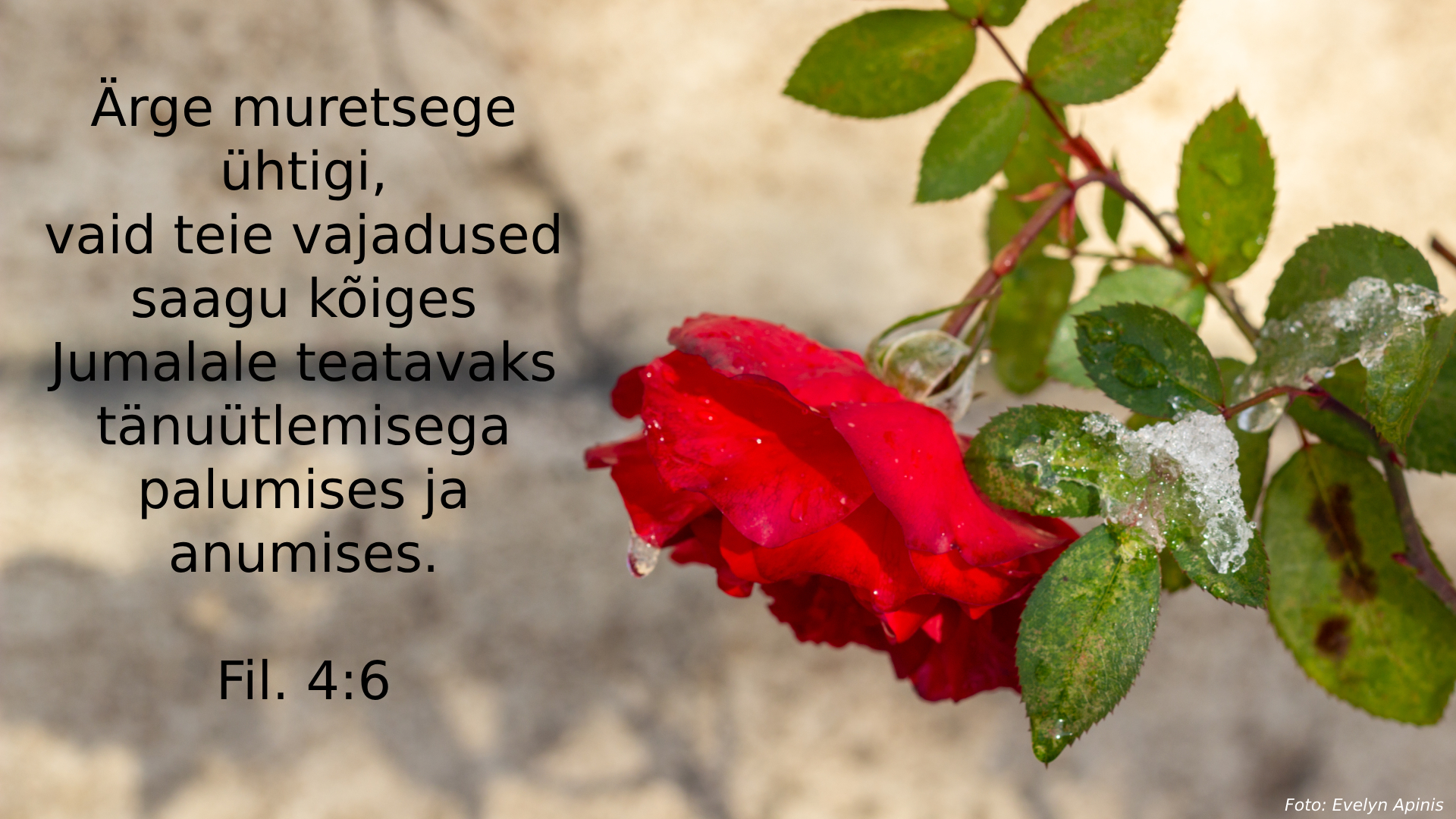 20241215_Fi_4_6.jpg