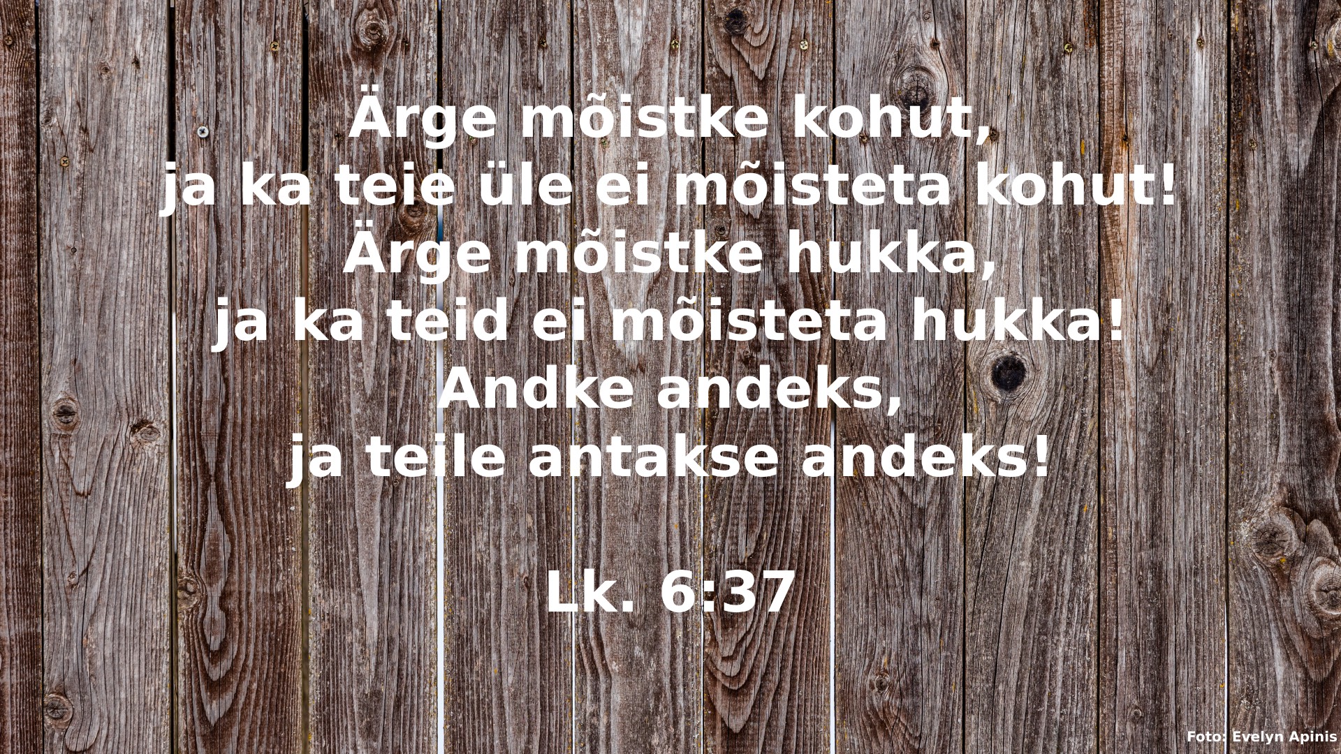20250223_Lk_6_37.jpg