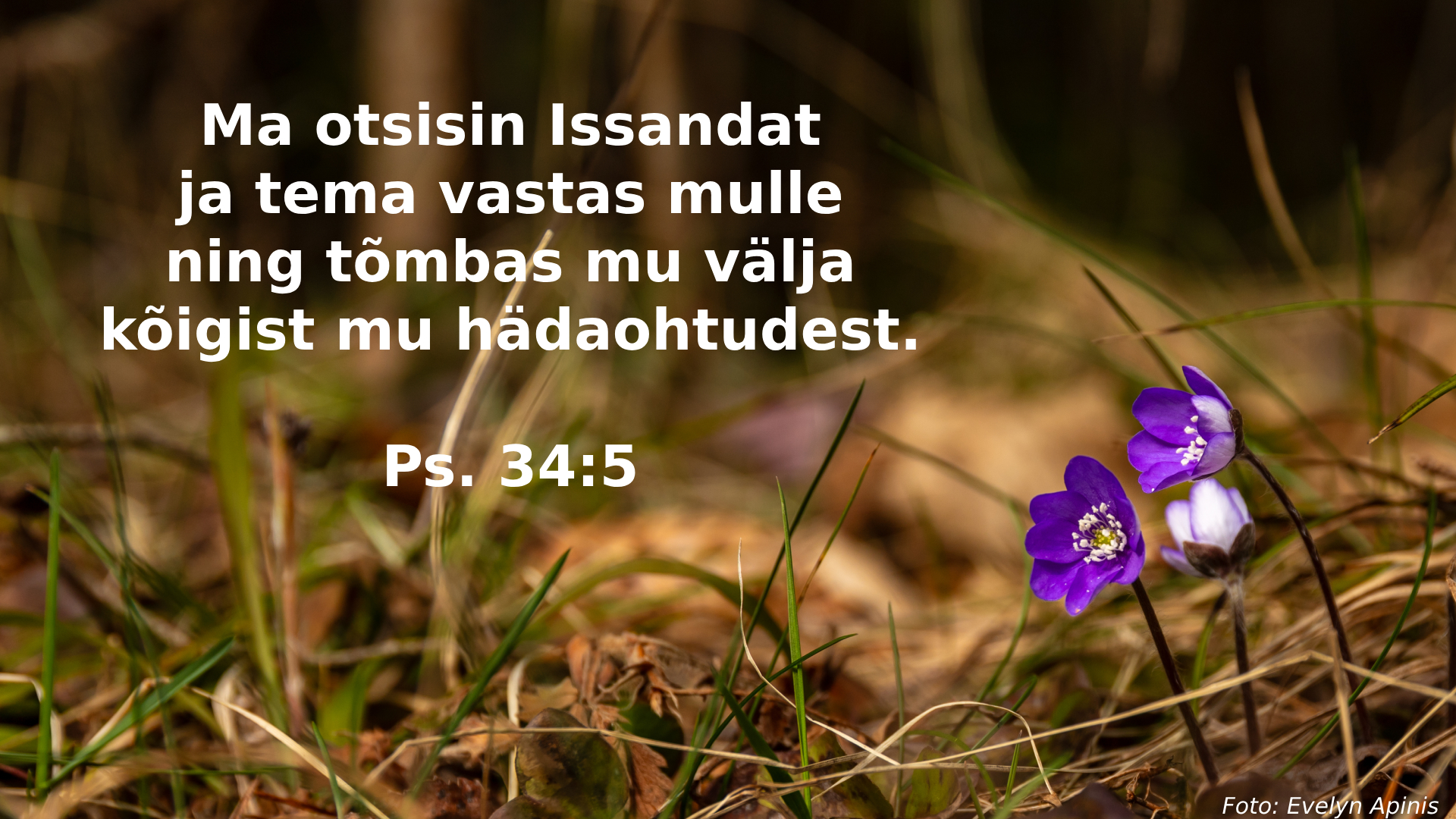 20250330_Ps_34_5.jpg