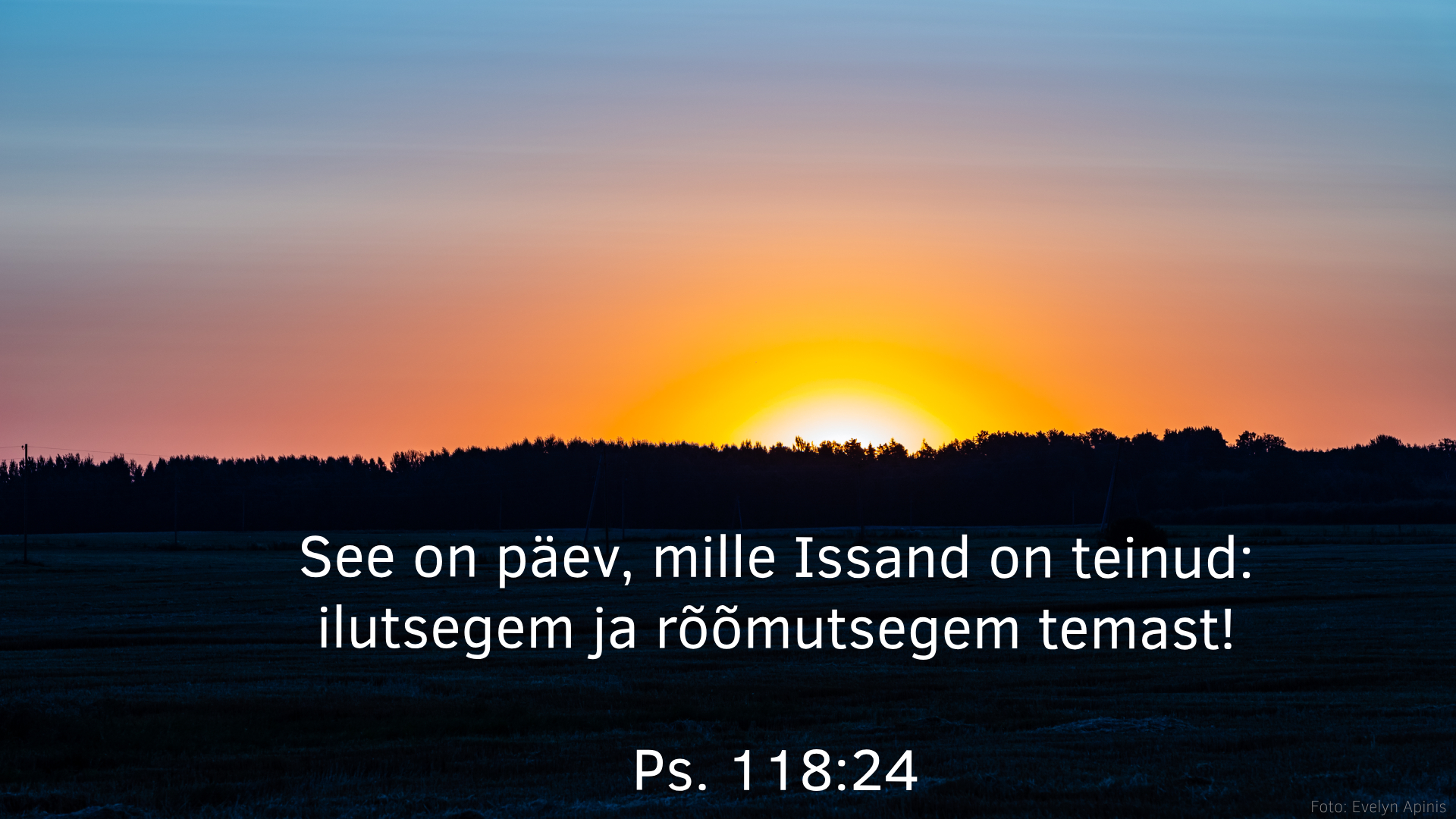 20250427_Ps_118_24.jpg