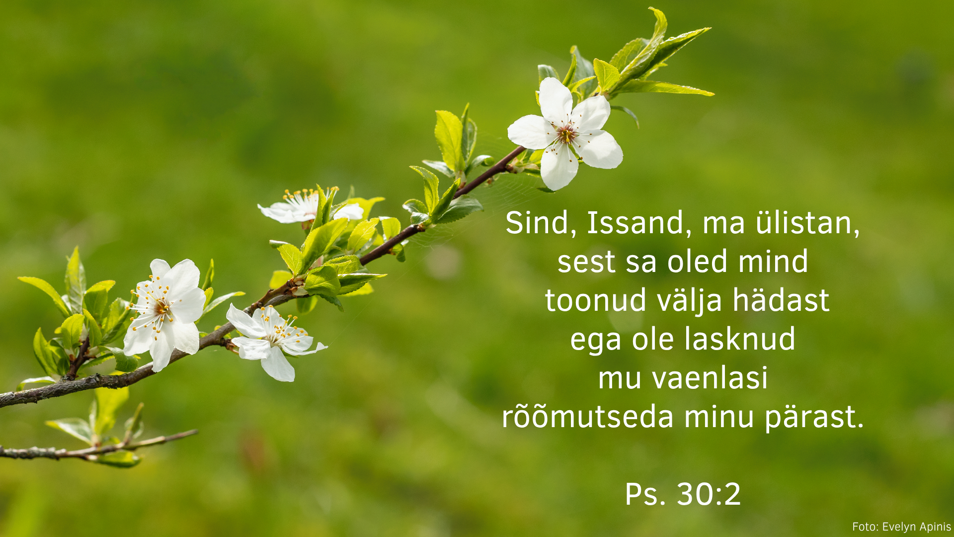 20250504_Ps_30_2.jpg