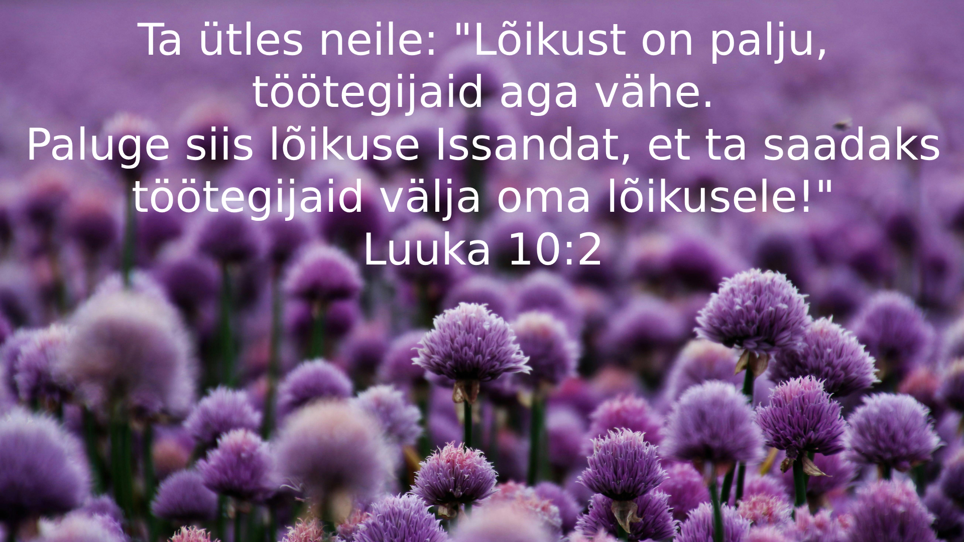 20250706_Lk_10_2.jpg