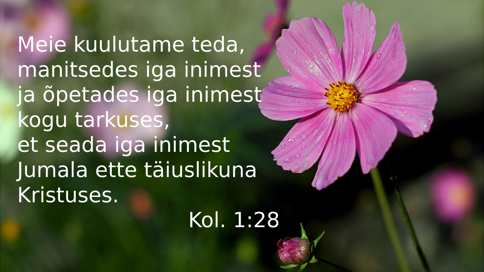 20250720_Kl_1_28.jpg