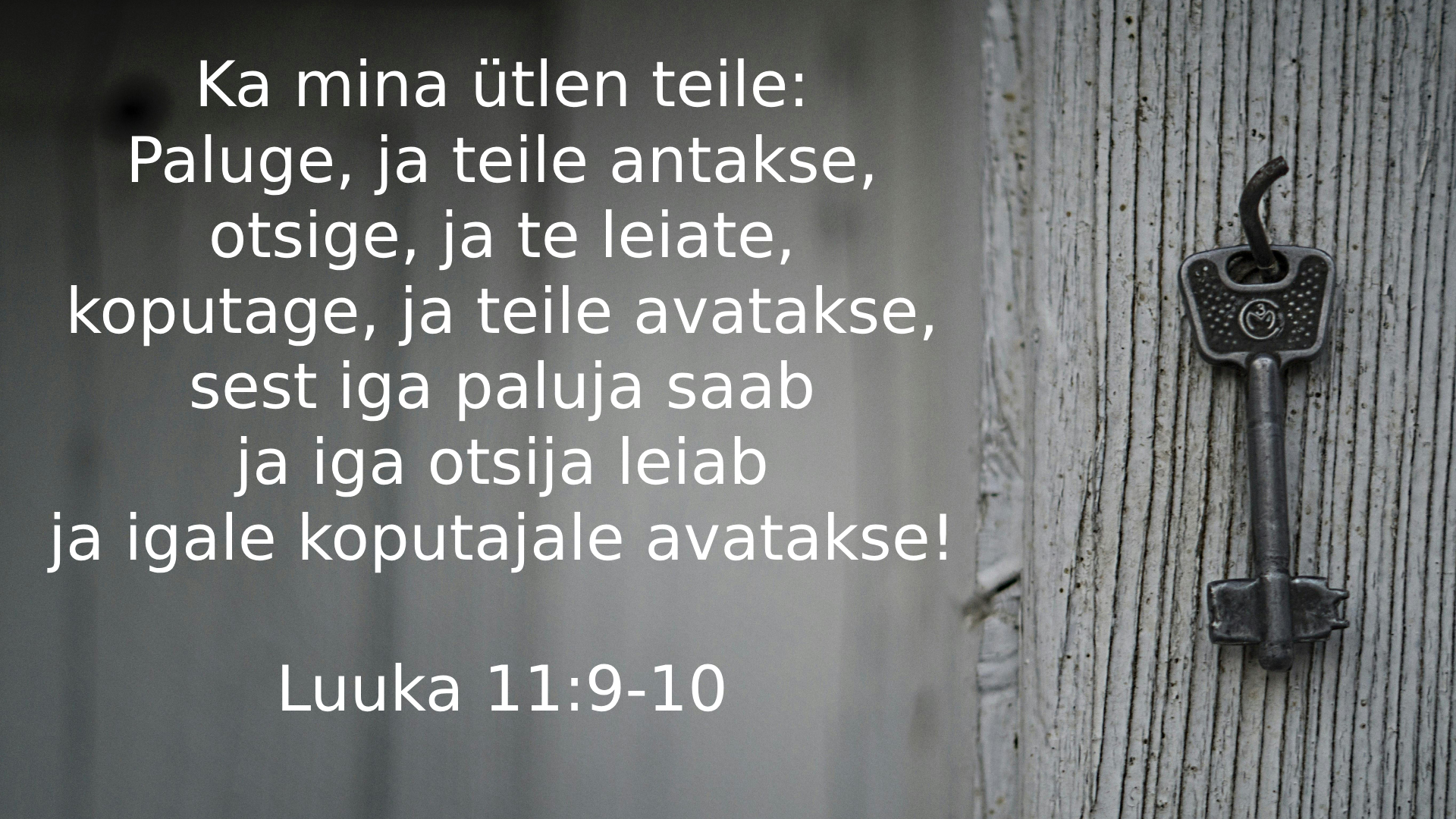 20250727_Lk_11_9_10.jpg