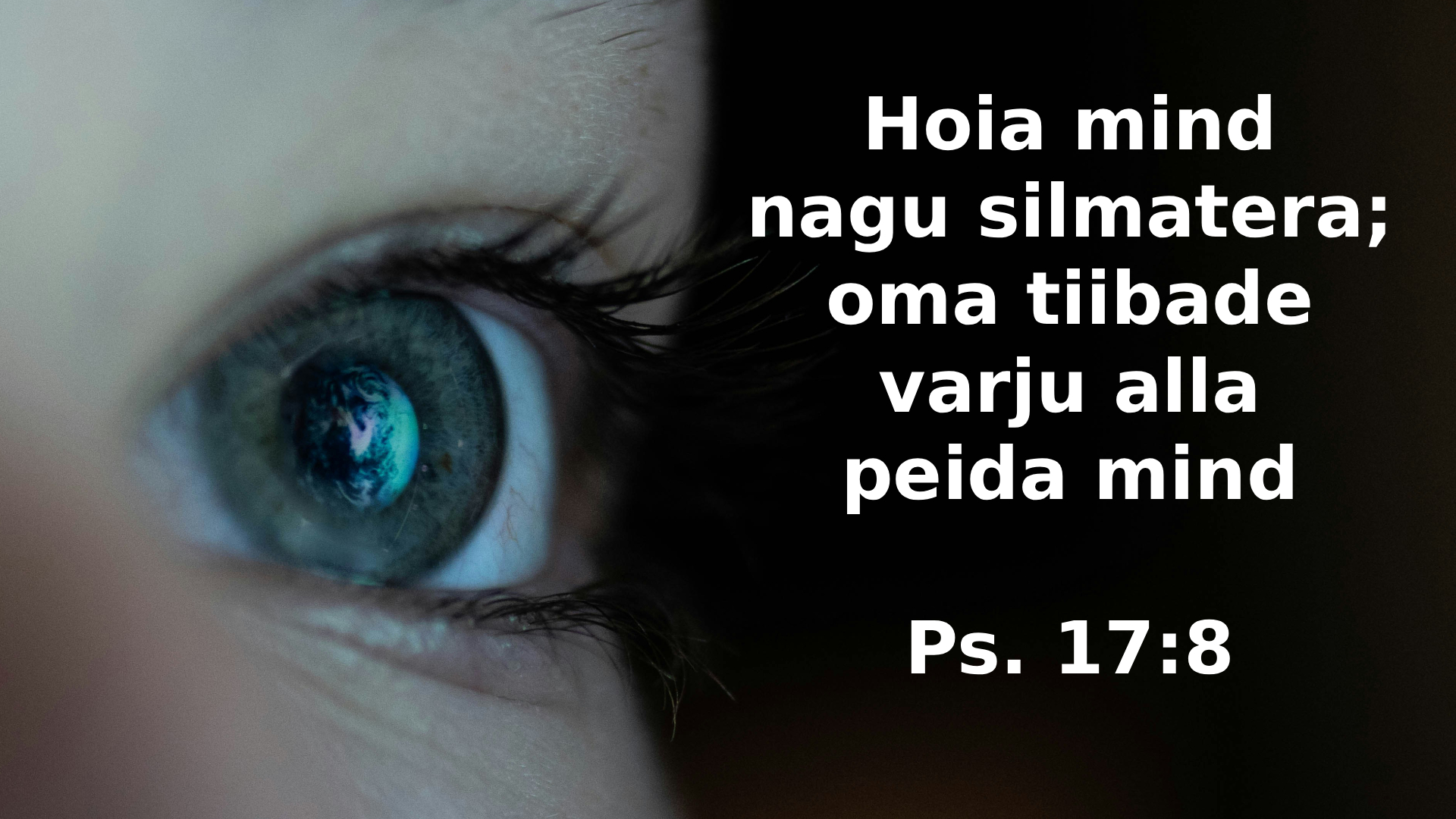 20251109_Ps_17_8.jpg
