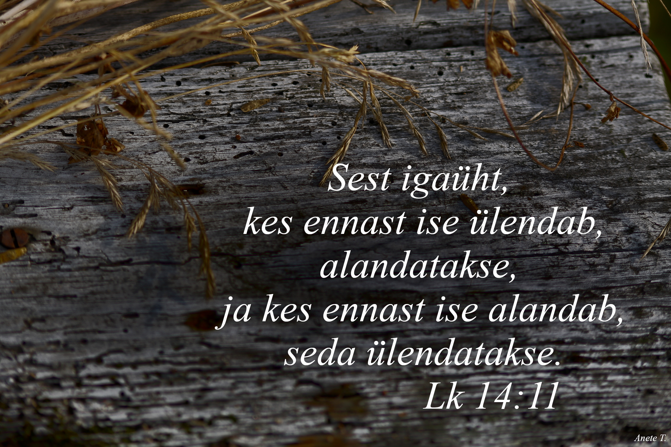 Piibel: Luuka 14:11