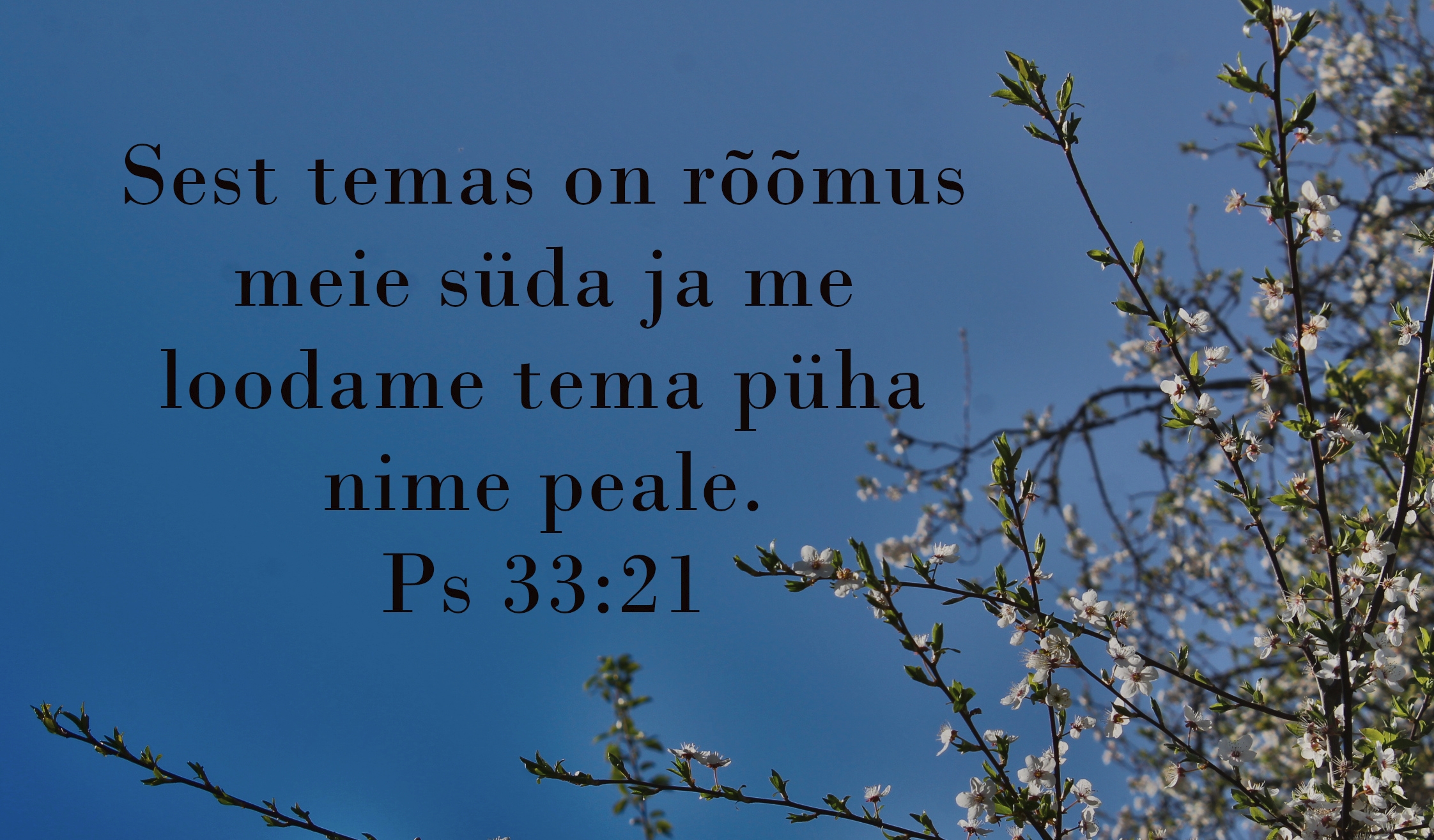 Piibel:  Psalm 33:21