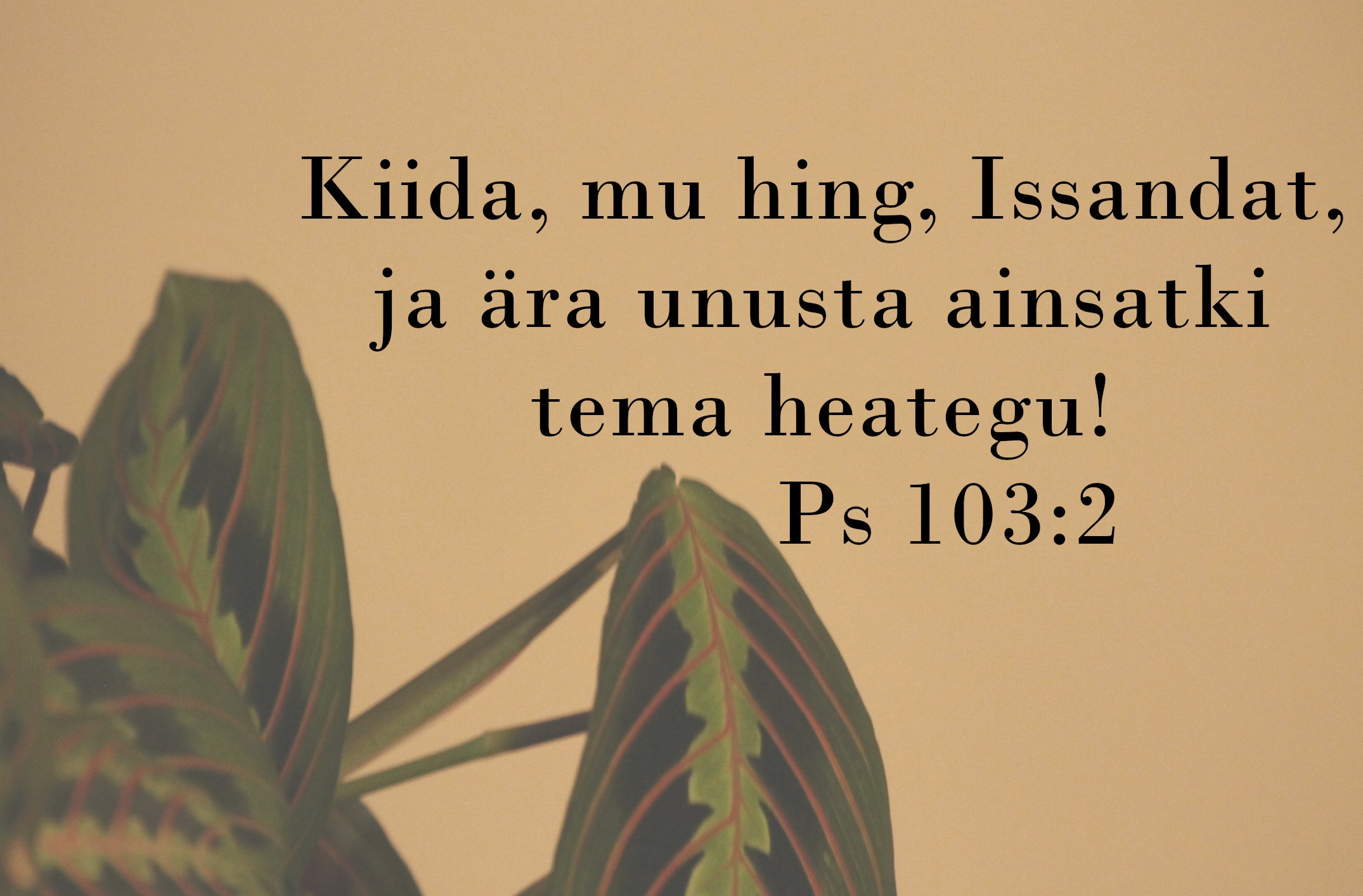 pIIBEL: pSALM 103:2