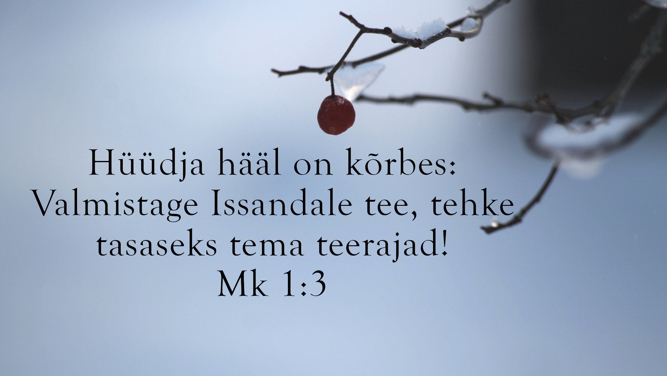 Piibel: Markuse 1:3